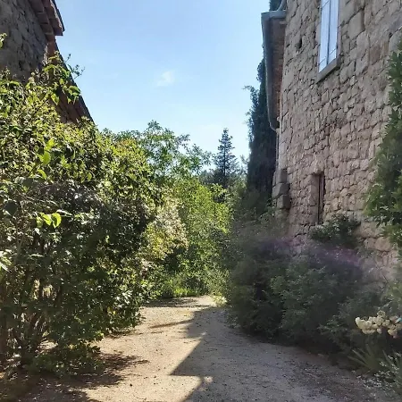 Charming With Garden *