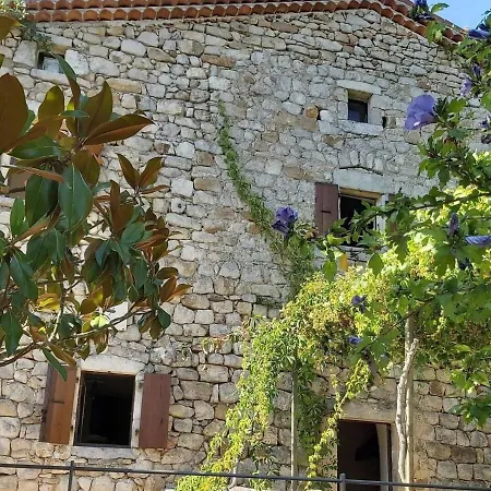 Charming With Garden Holiday home Saint-Genest-de-Bauzon